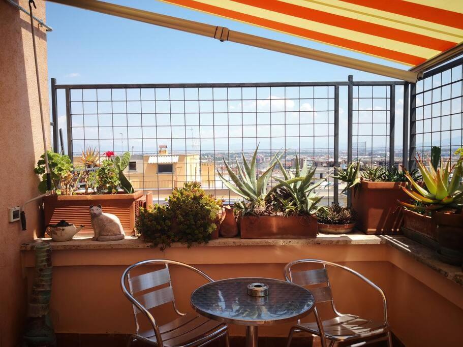 Rosa'S Terrace Roma Panoramic Penthouse Appartement Buitenkant foto
